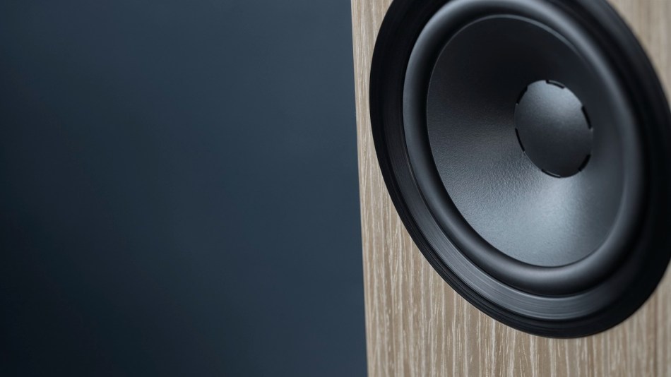 A big close up of the driver on a Dynaudio Focus 30 loudspeaker