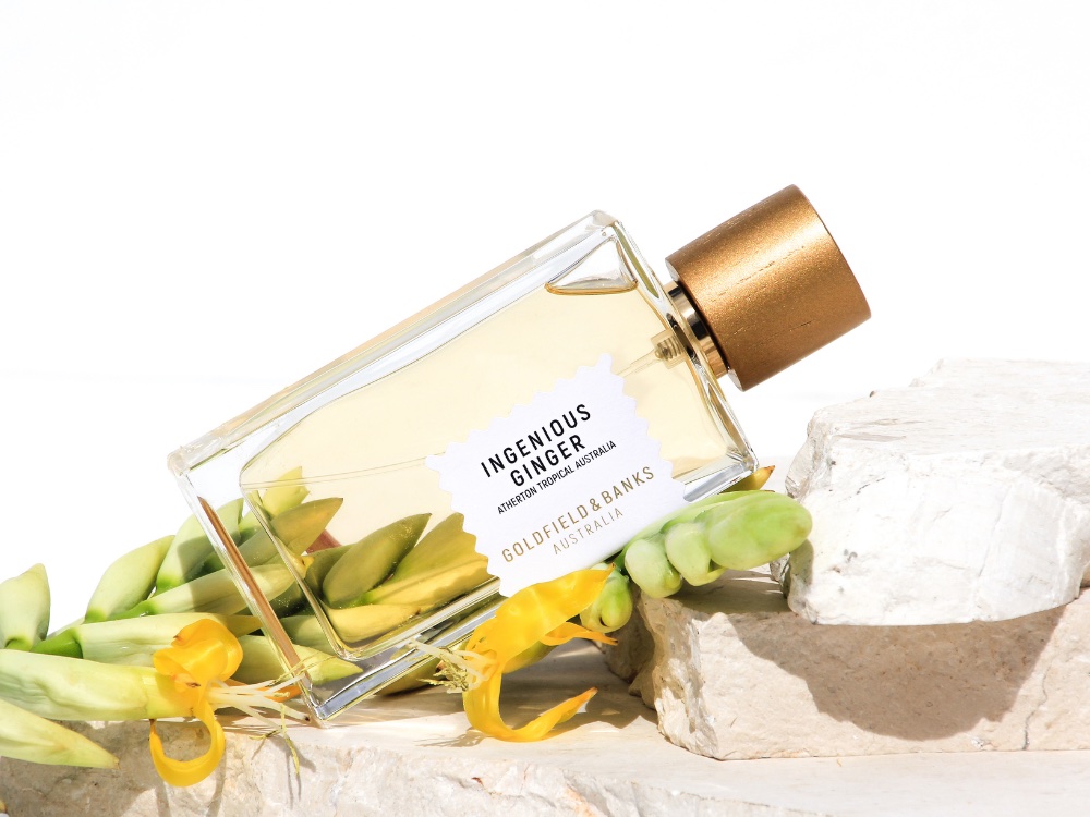 Ingenious Ginger by Goldfield & Banks