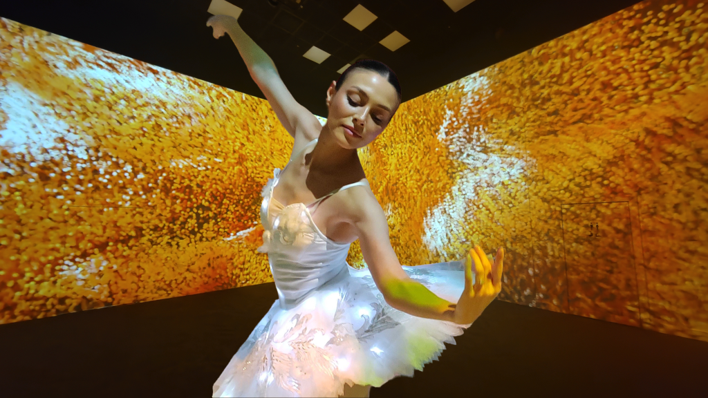 Ballerina at Frameless