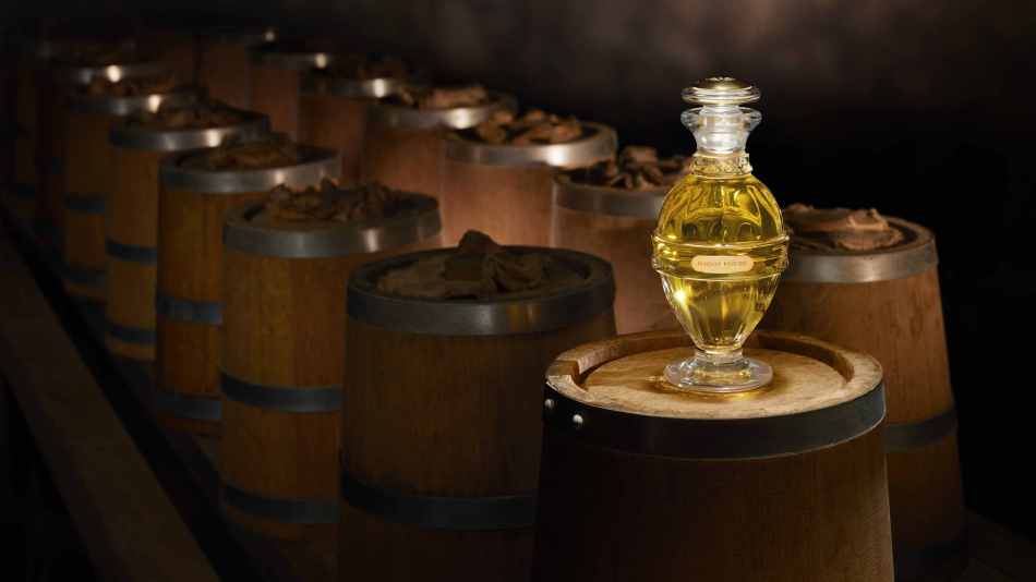 Éclat d’Ombre, Maison Psyché on cognac barrels