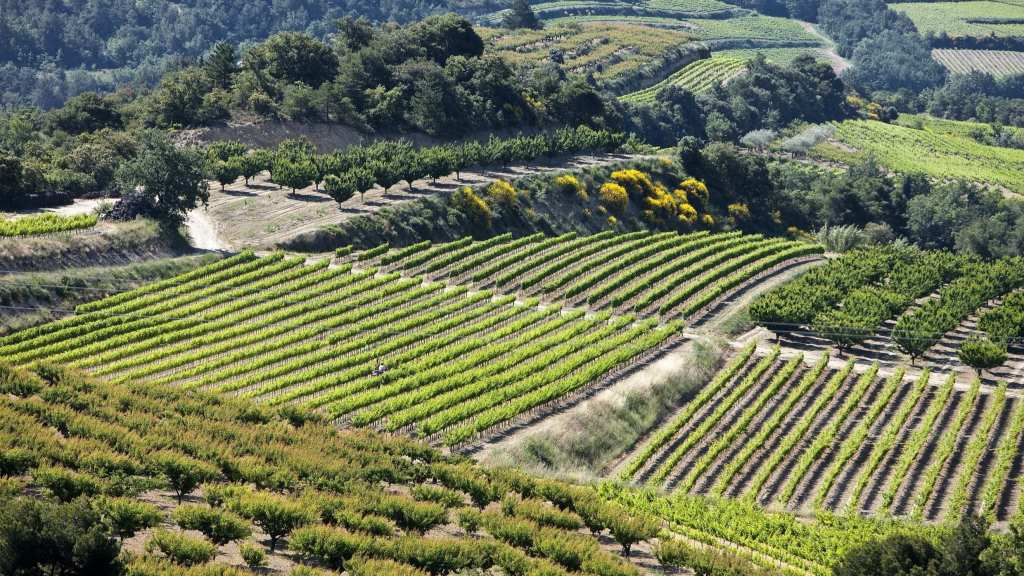 Côtes du Rhône wine region