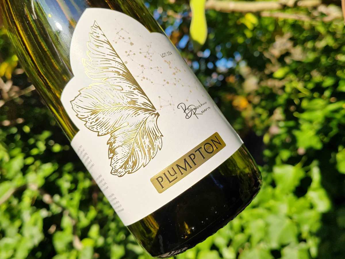 Plumpton Wine College debuts Bacchus Reserve, sparkles with award-winning Brut&nbsp;Rosé